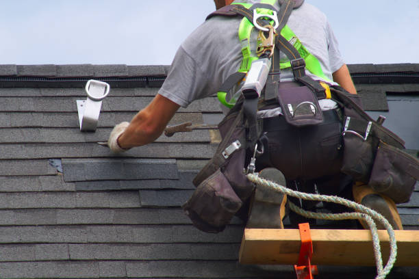 Best Roof Gutter Cleaning  in Mirrormont, WA