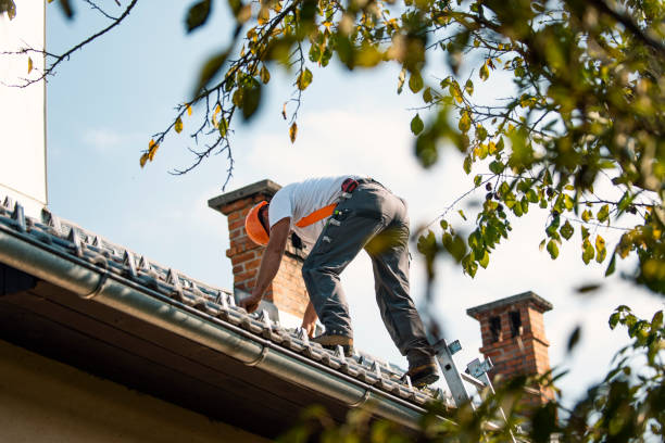 Best Storm Damage Roof Repair  in Mirrormont, WA