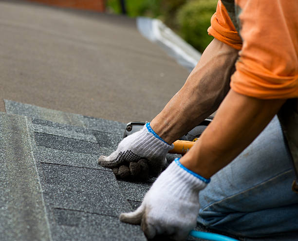 Best Roof Maintenance Services  in Mirrormont, WA